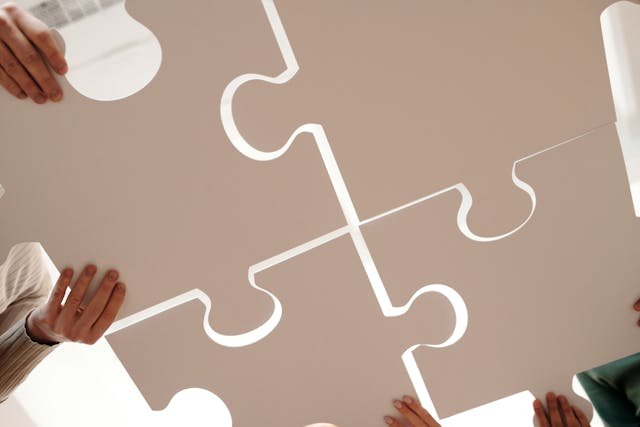 What Are Oracle NetSuite Integration Services