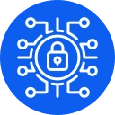 Data Security and Integrity